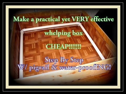 Whelping Box Construction Plans