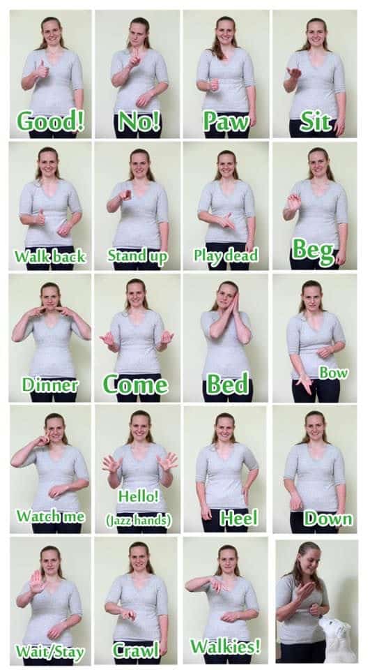 Woman doing hand signals for dogs.