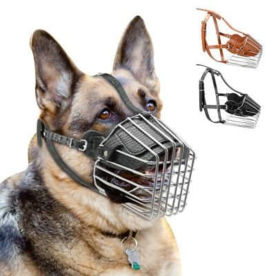 muzzle training fearful dogs