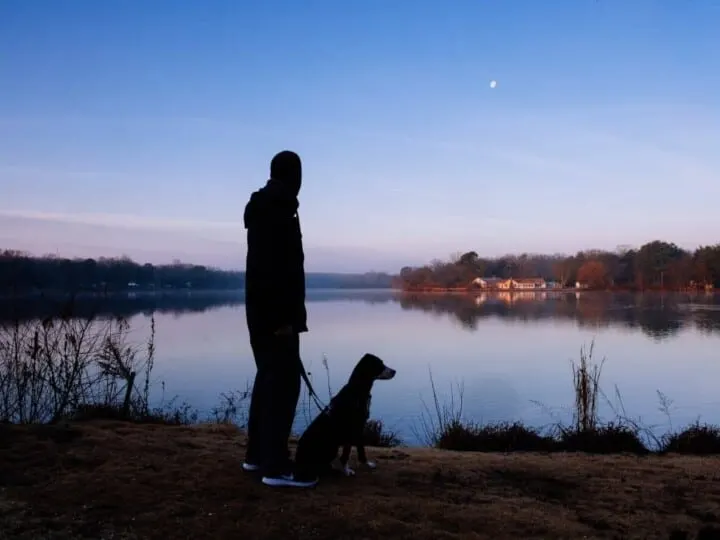 Man walking with his dog near a lake at dawn.