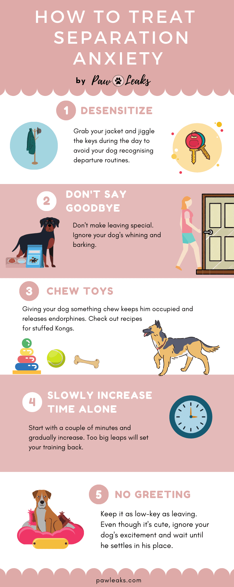 Infographic explaining how to treat dog separation anxiety.