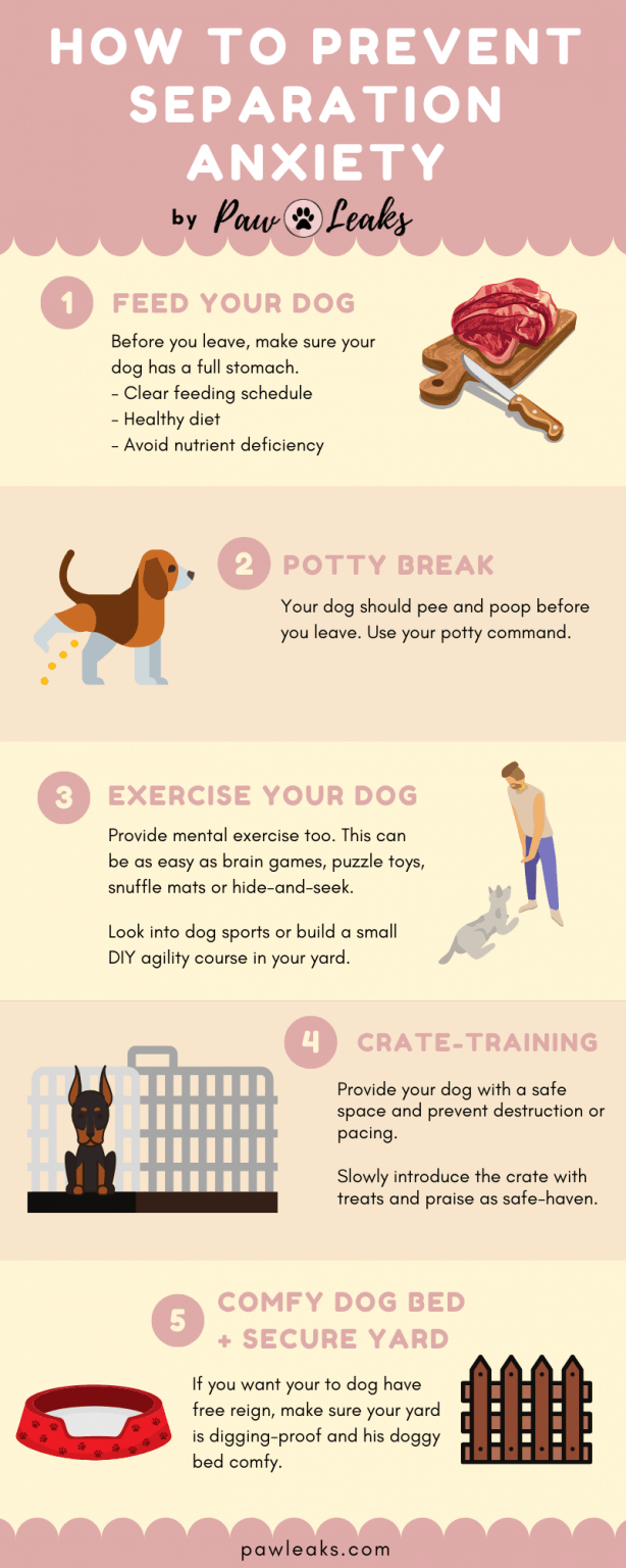 Photo inspiration: Picture Idea: The Complete Guide To Dog Separation Anxiety