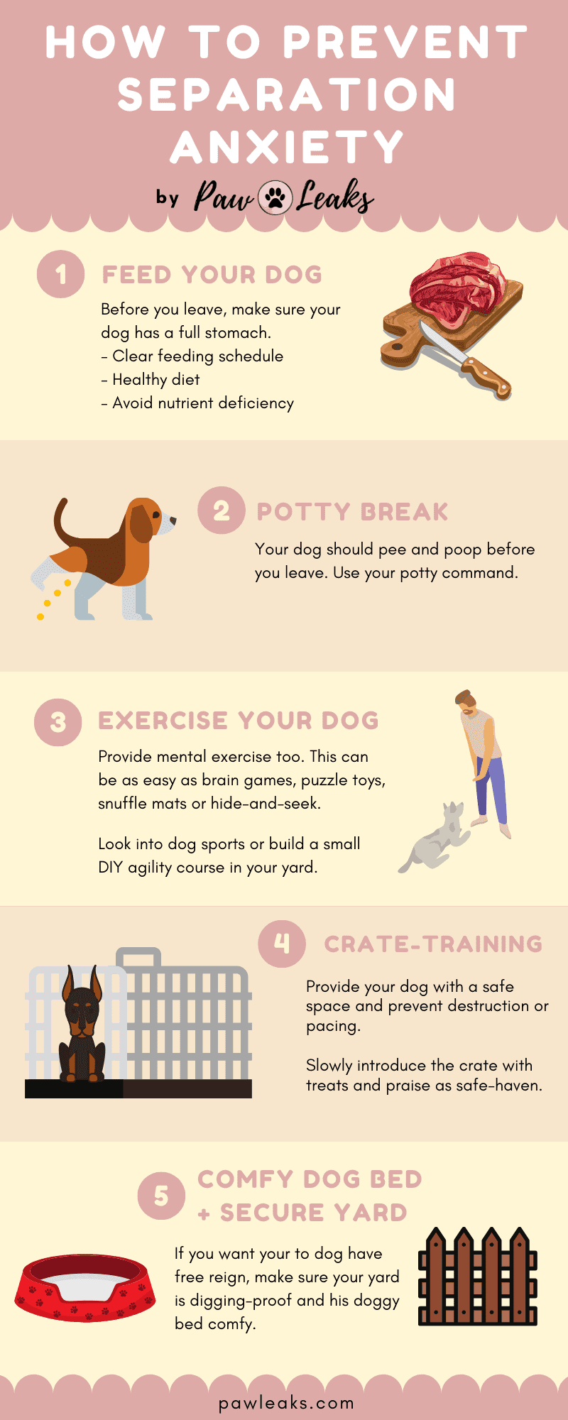 The Complete Guide to Dog Separation Anxiety PawLeaks