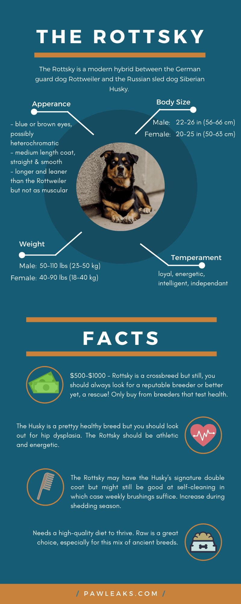 An infographic about the Rottweiler Husky Mix.