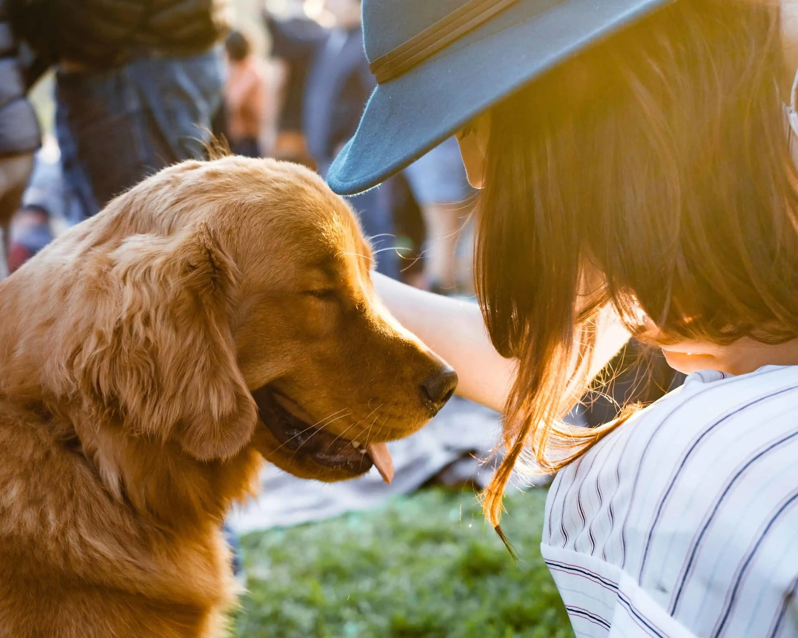 Dog feels pleasure while being petted.