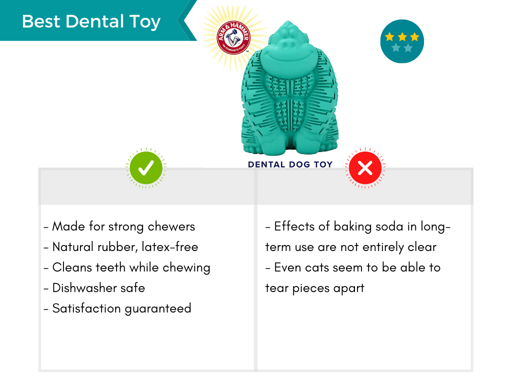 Product card featuring the best dental dog toy.