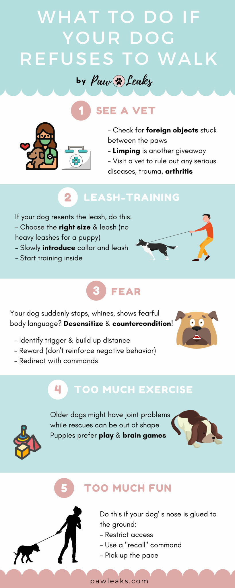 Refusing Dog If Your Dog Refuses to Walk - Do This! | PawLeaks
