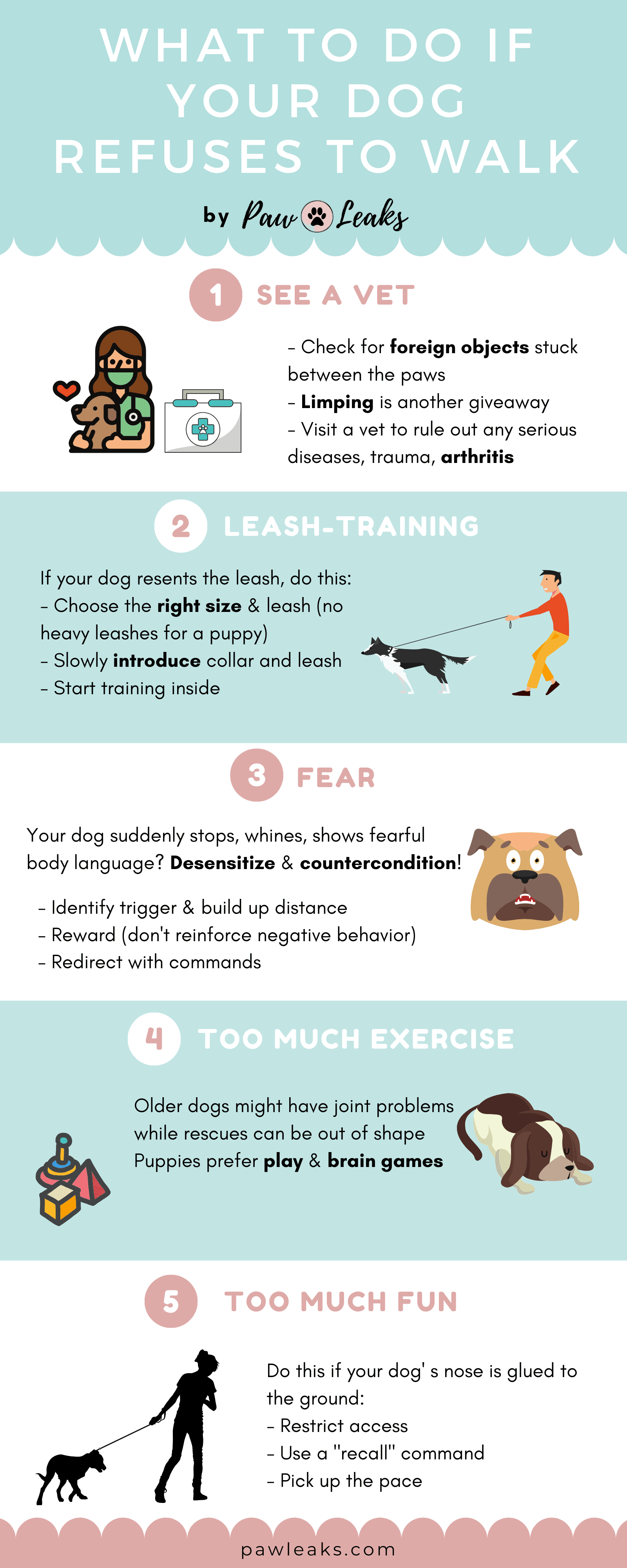 how do i train my puppy to walk on a leash