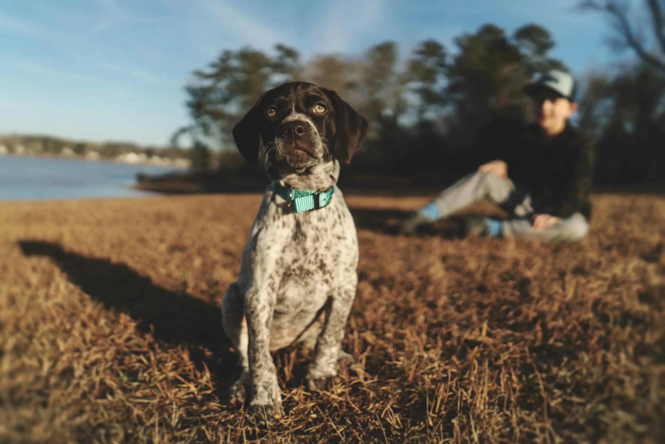 how do you treat puppy acne