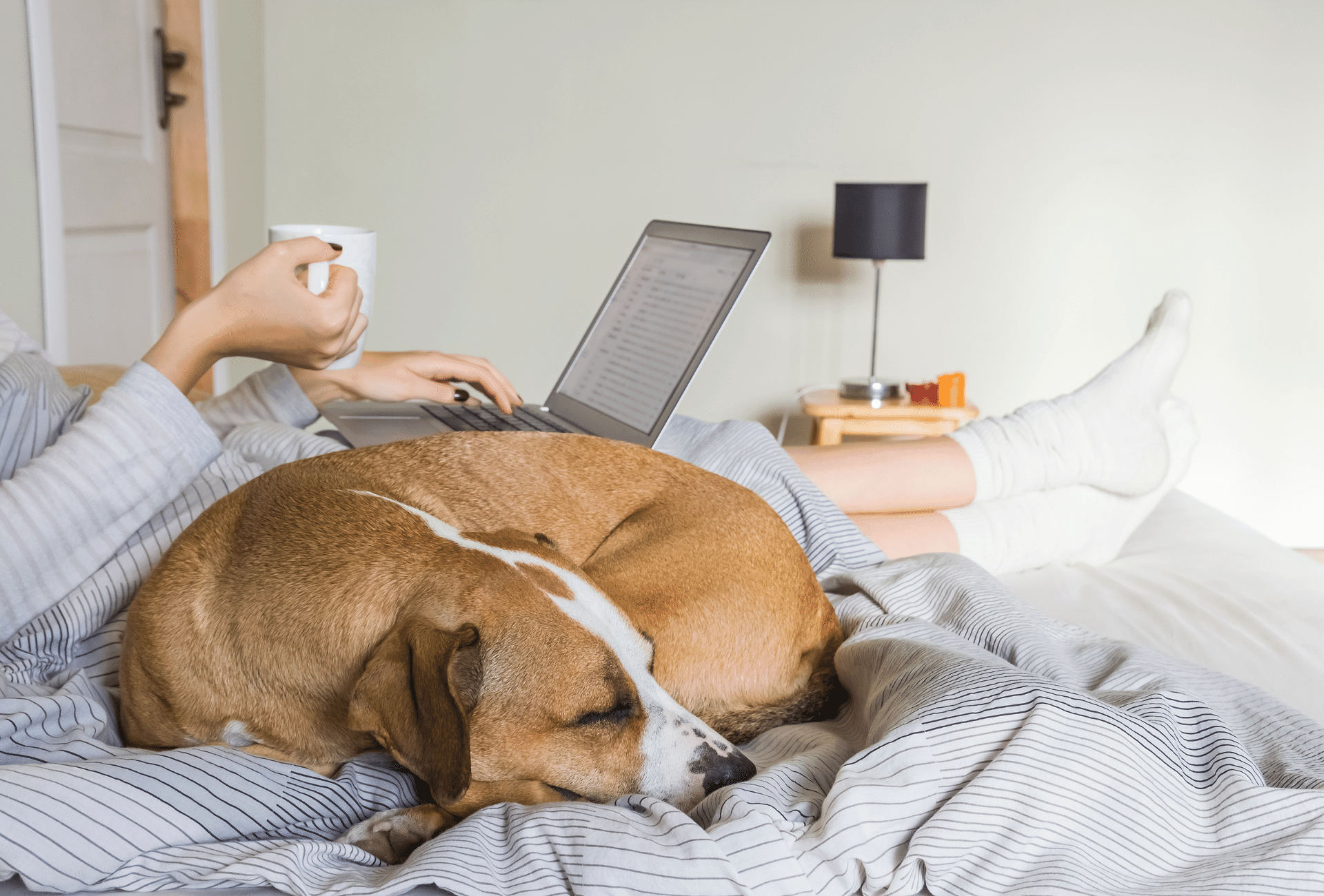 Dog rests closely next to owner on the bed.