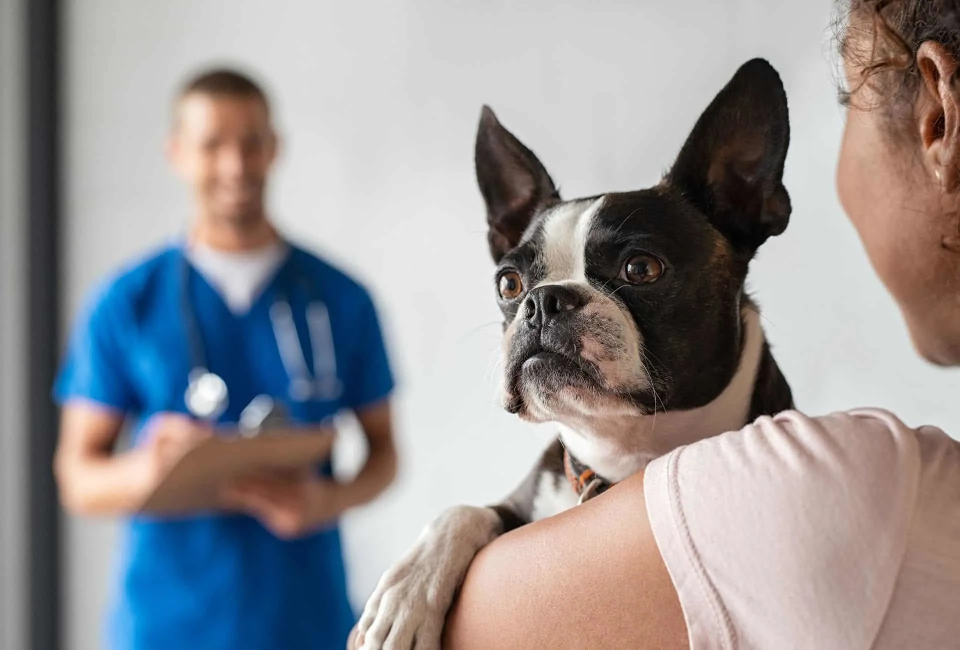 what causes tracheal collapse in dogs