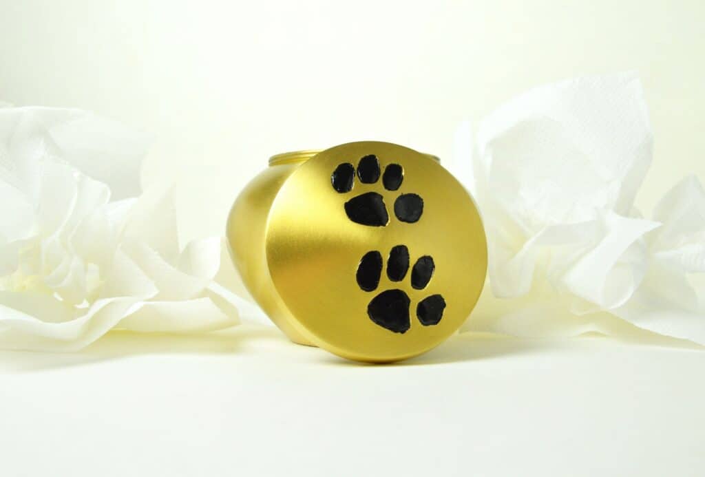 golden dog urn