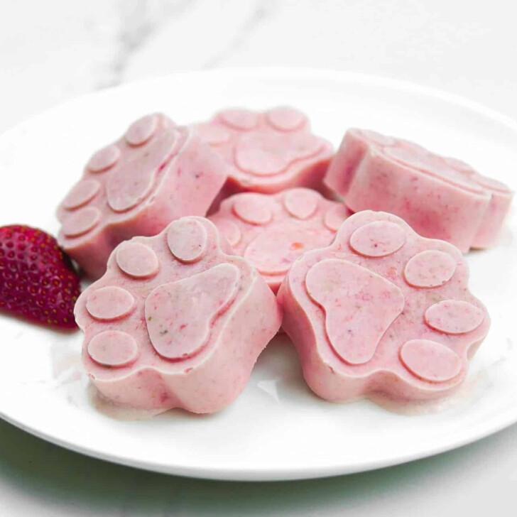 The Best 3 Ingredients Dog Ice Cream Recipe PawLeaks