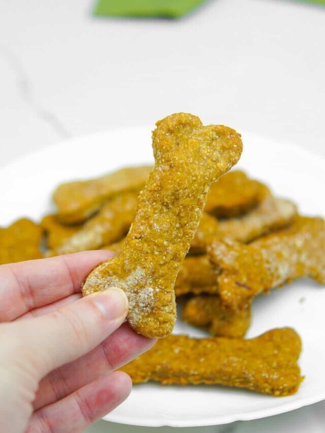 The Best Homemade Dog Treats with Rolled Oats
