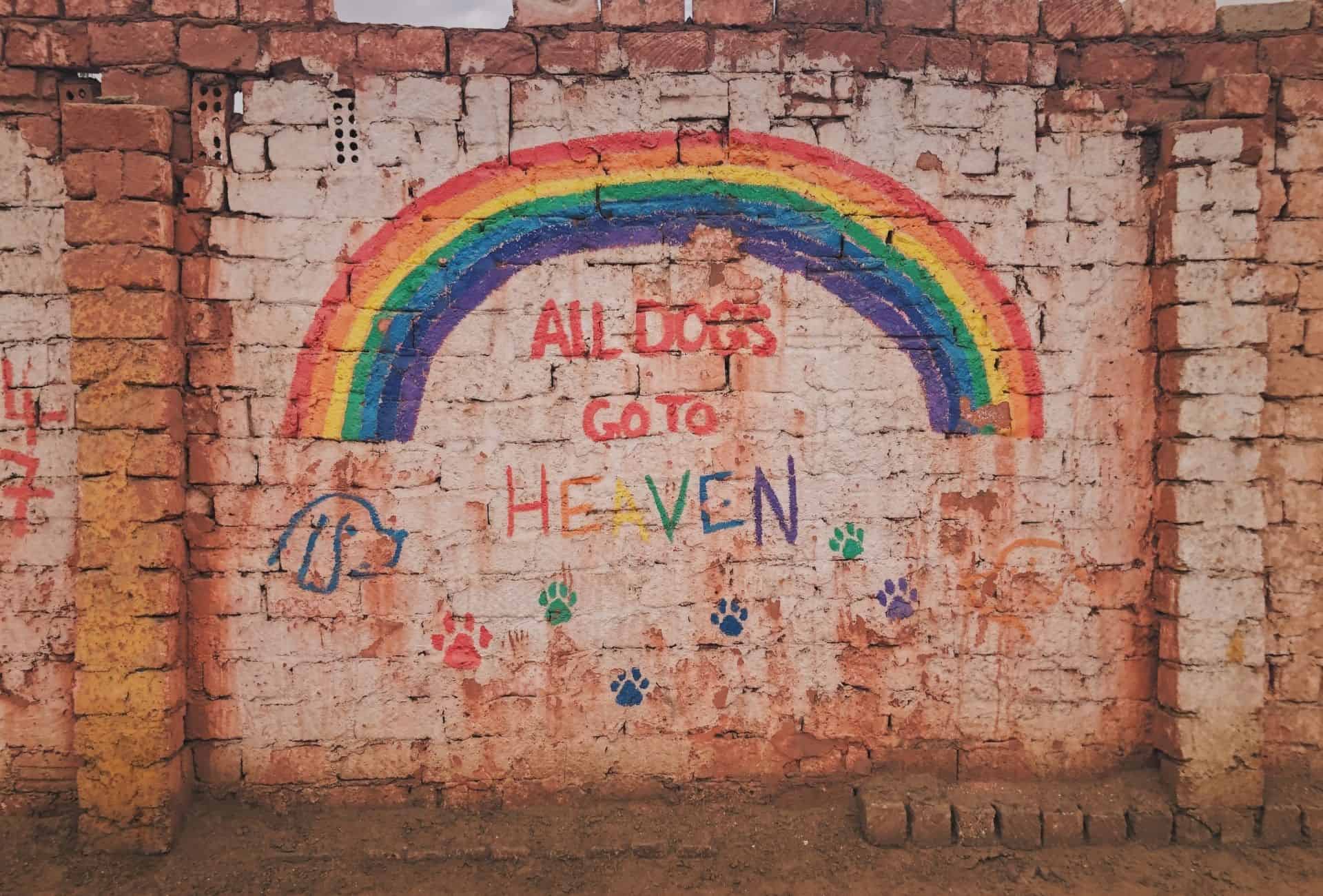 Colorful graffiti on a brick wall "all dogs go to heaven".