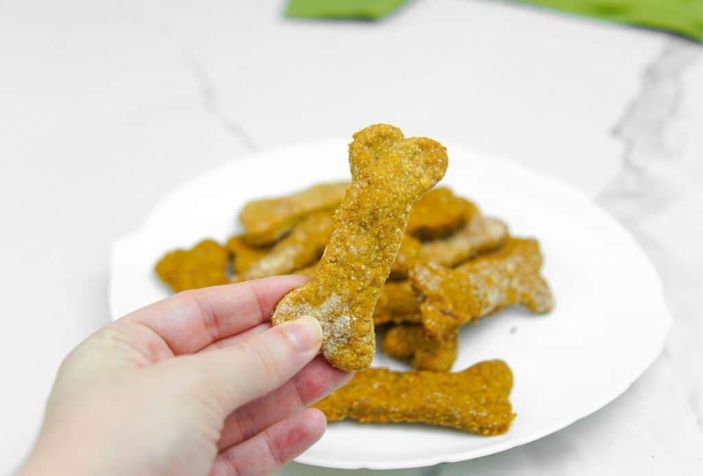 Easy Homemade Dog Treats with Rolled Oats PawLeaks