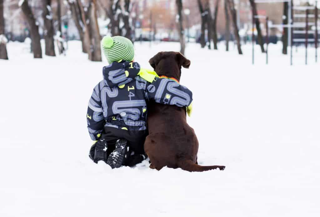 Child sits with his arm around a brown Labrador Retriever in the snow.