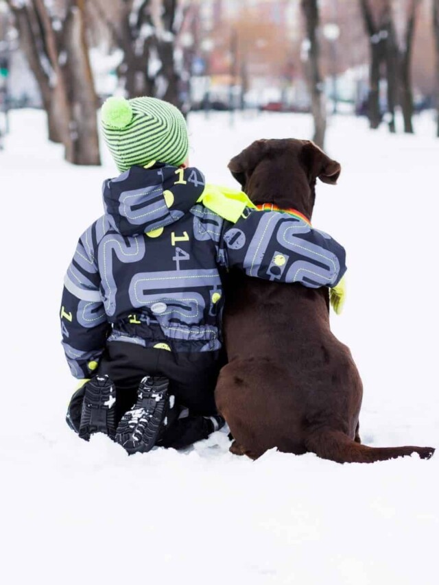 cropped-Lab-with-kid.jpg