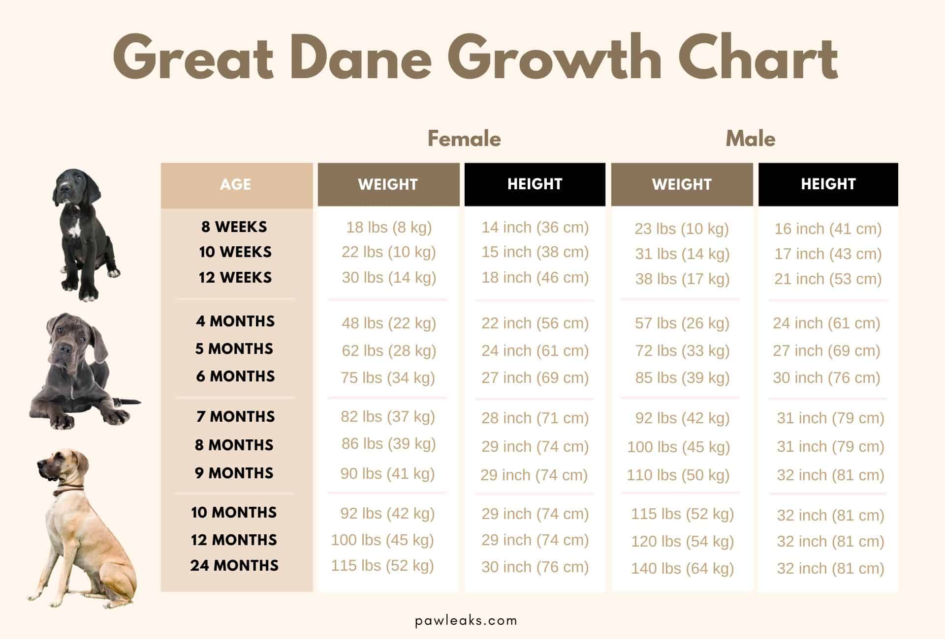 how much should a great dane weigh at 8 weeks