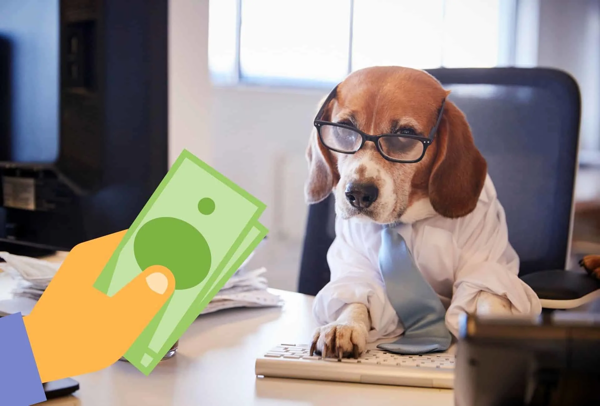 Beagle dressed in business clothing working on a computer receives a couple of dollar bills, showing that adopting a Beagle costs money.