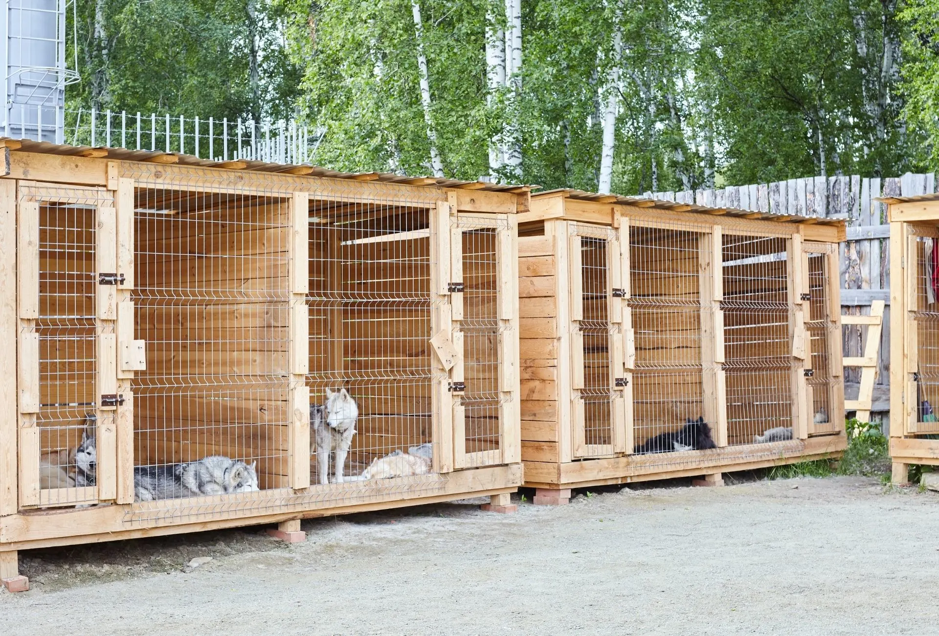 Train and outlet board dog