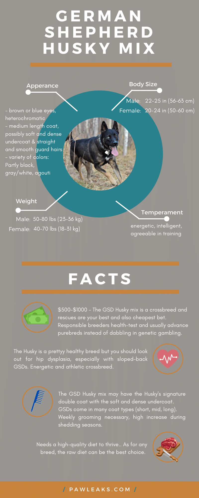 how much does a husky german shepherd mix weight