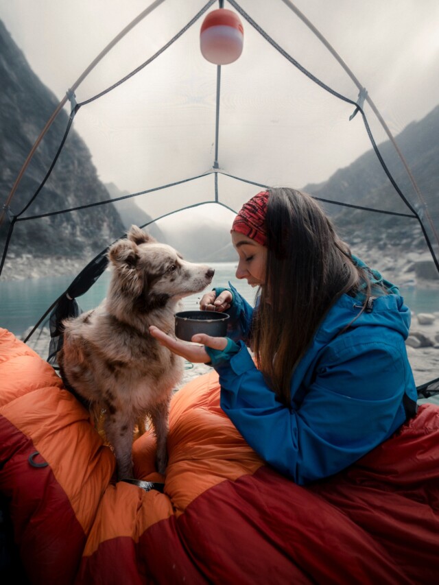 How to Camp with a Dog in a Tent PawLeaks