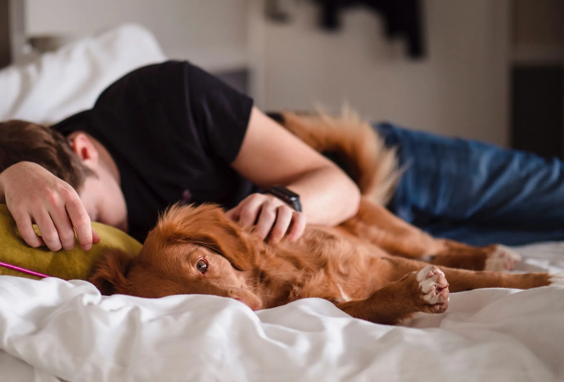 Person in black shirt lying next to their dog on the bed.