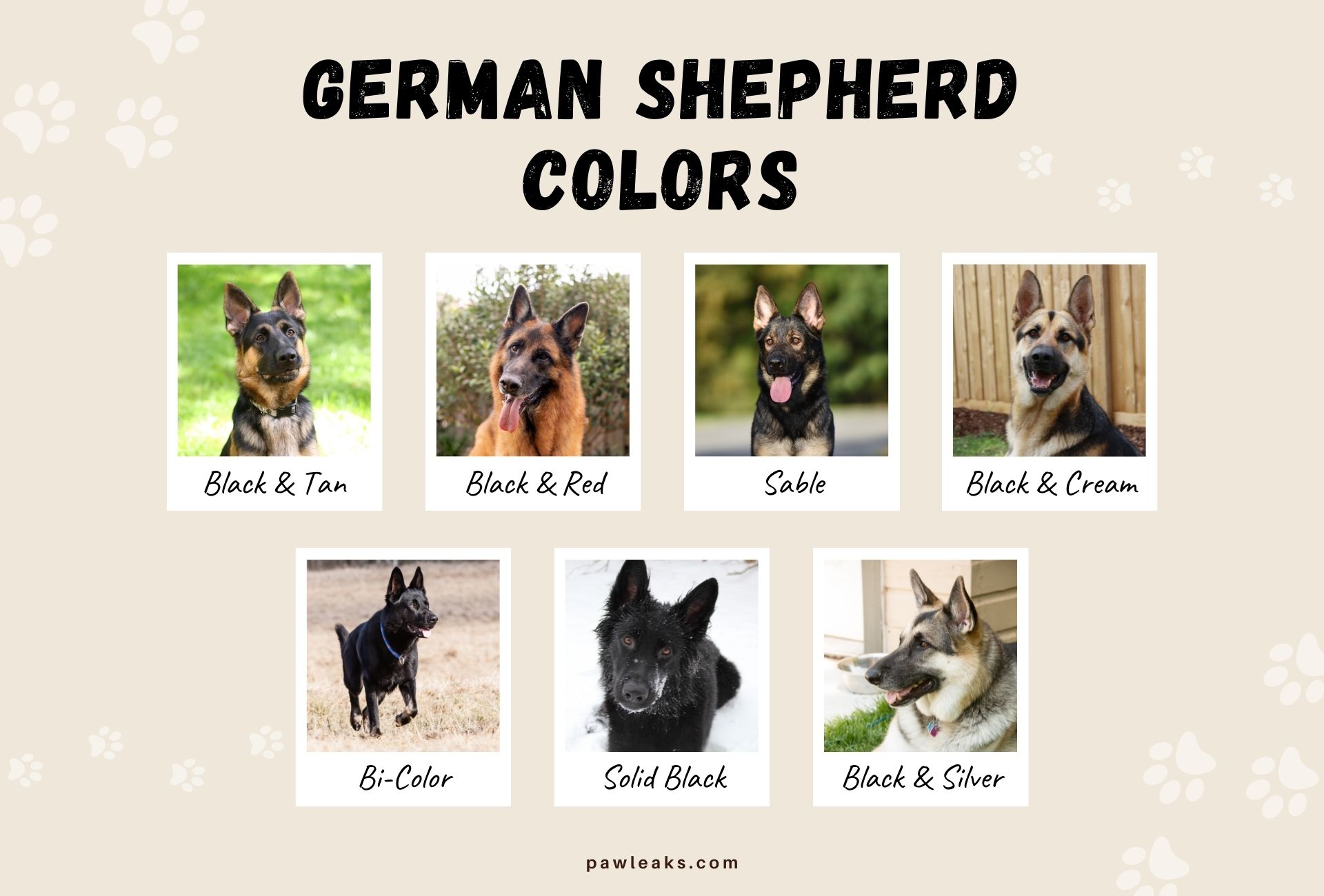 German Shepherd color chart