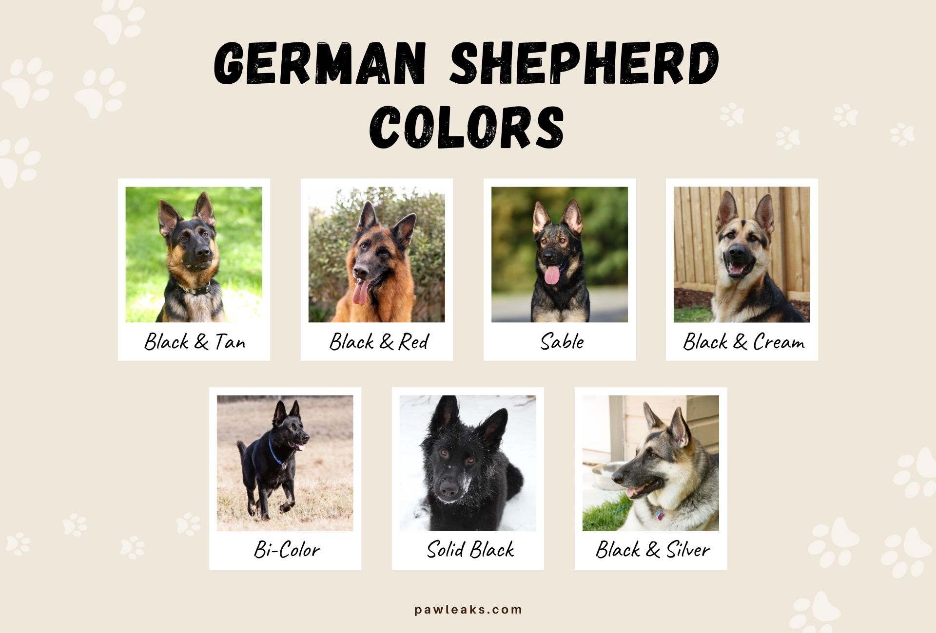 All 7 German Shepherd Colors - Don'T Believe The Lies | Pawleaks