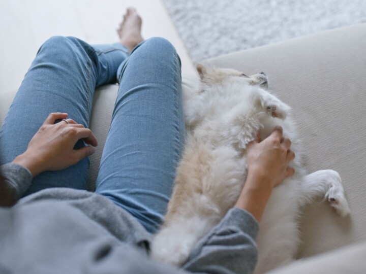 Woman cuddles her dog at home.