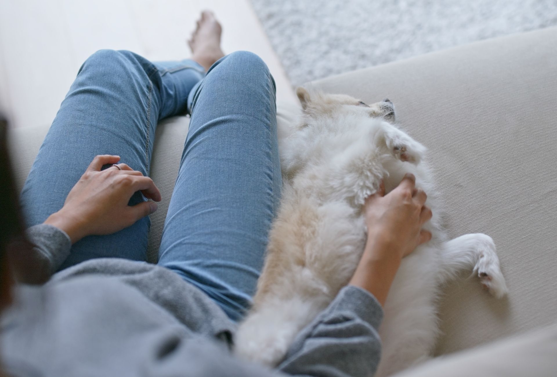 My Dog Is Obsessed With Me! What You Should Do Now PawLeaks