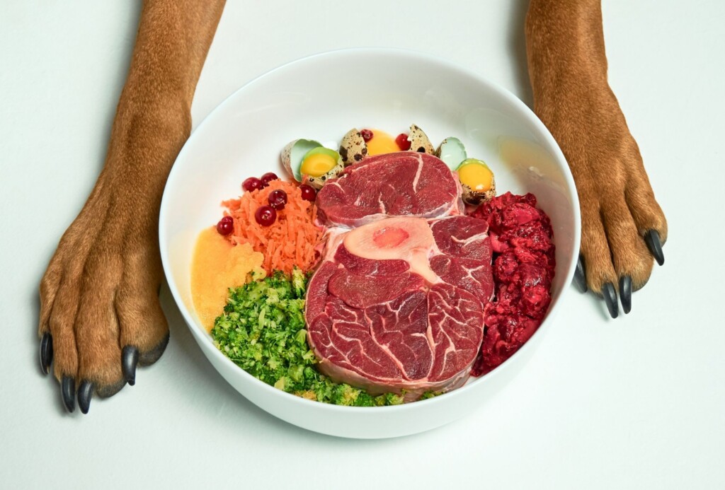 Natural Raw organic dog food in bowl and dogs paws on white background.