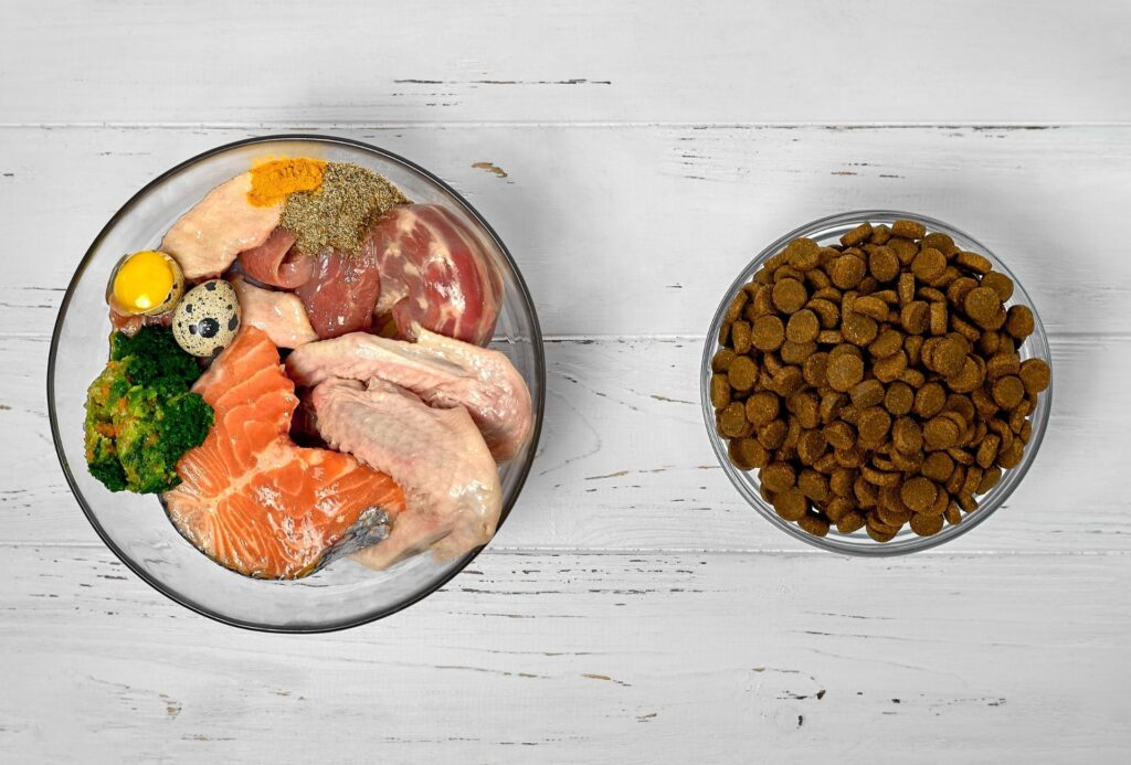 10 Homemade Raw Dog Food Recipes [Vet Approved] PawLeaks