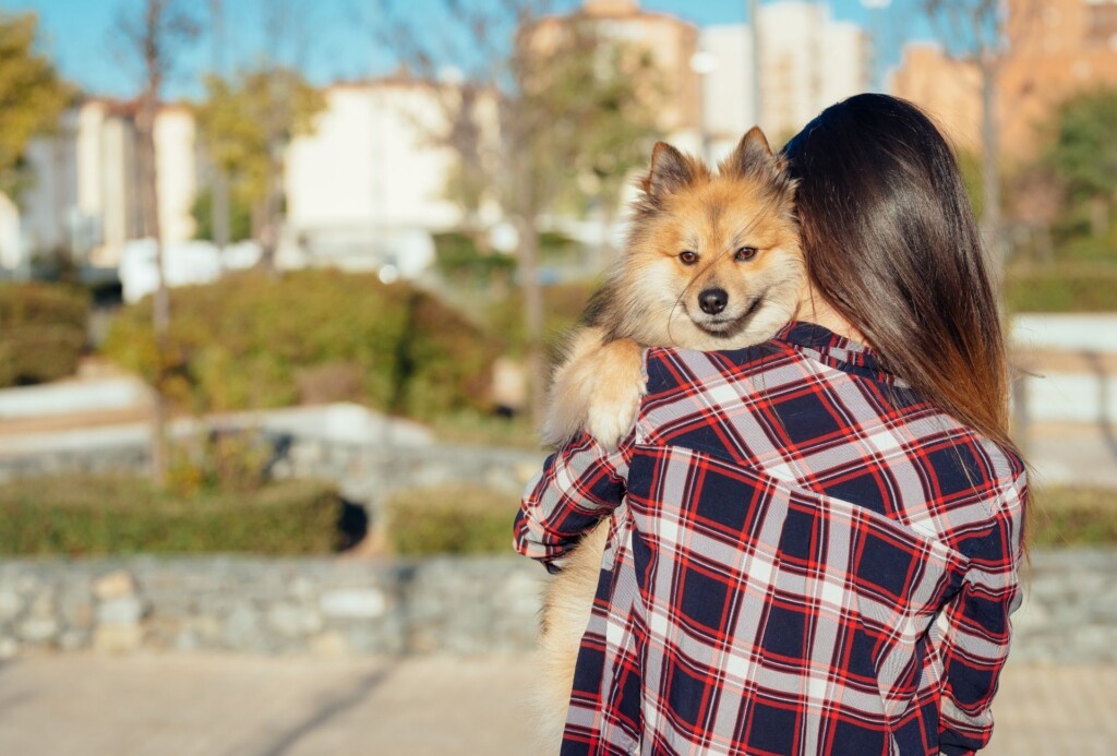 A woman with her back to the camera carries a small dog over her left shoulder.