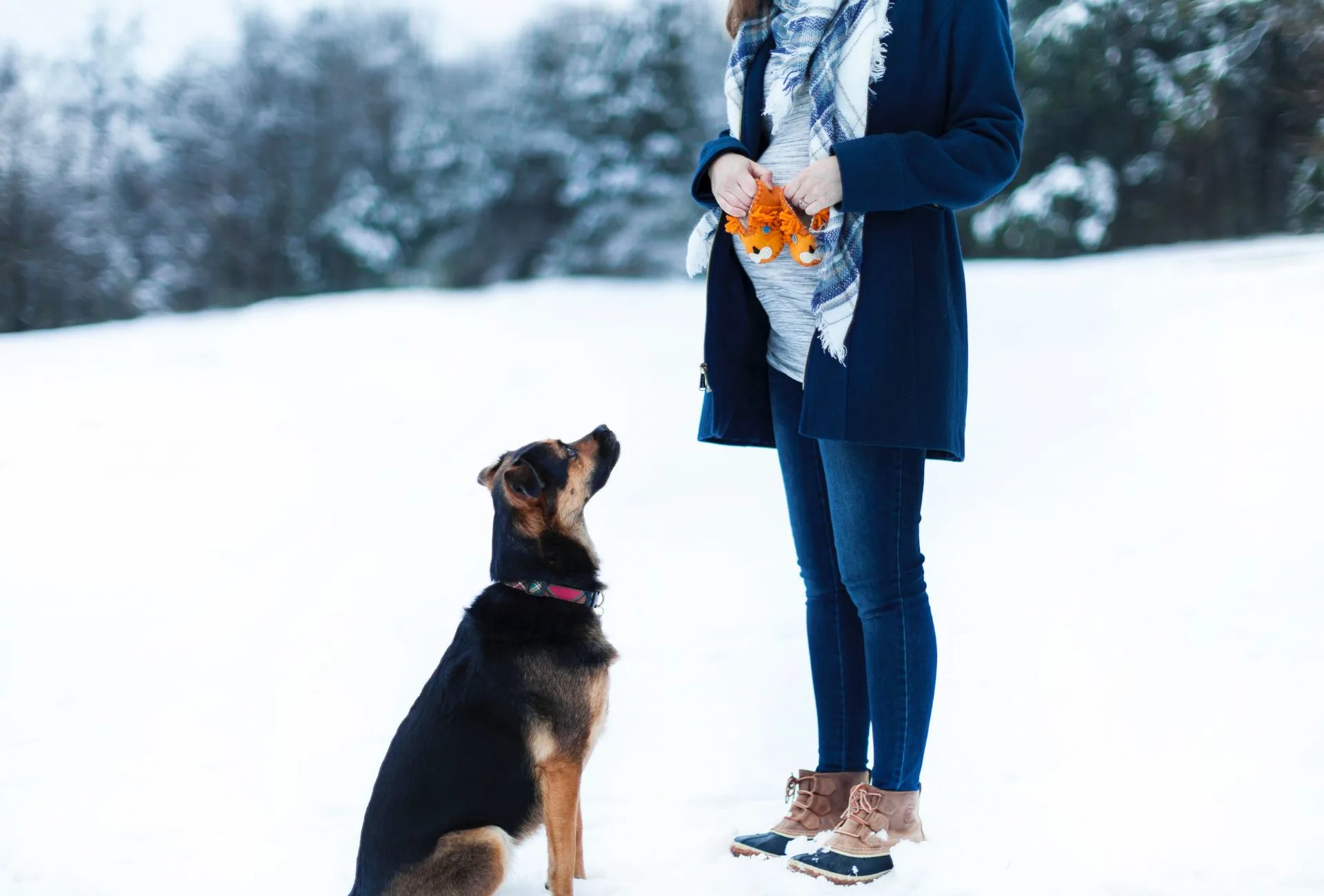 Pregnant woman standing in front of black dog in snow.