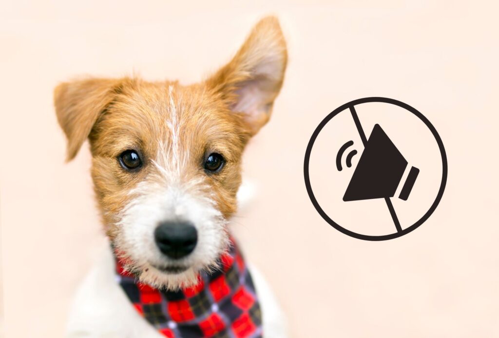 Small dog on pink background with no sound sign.