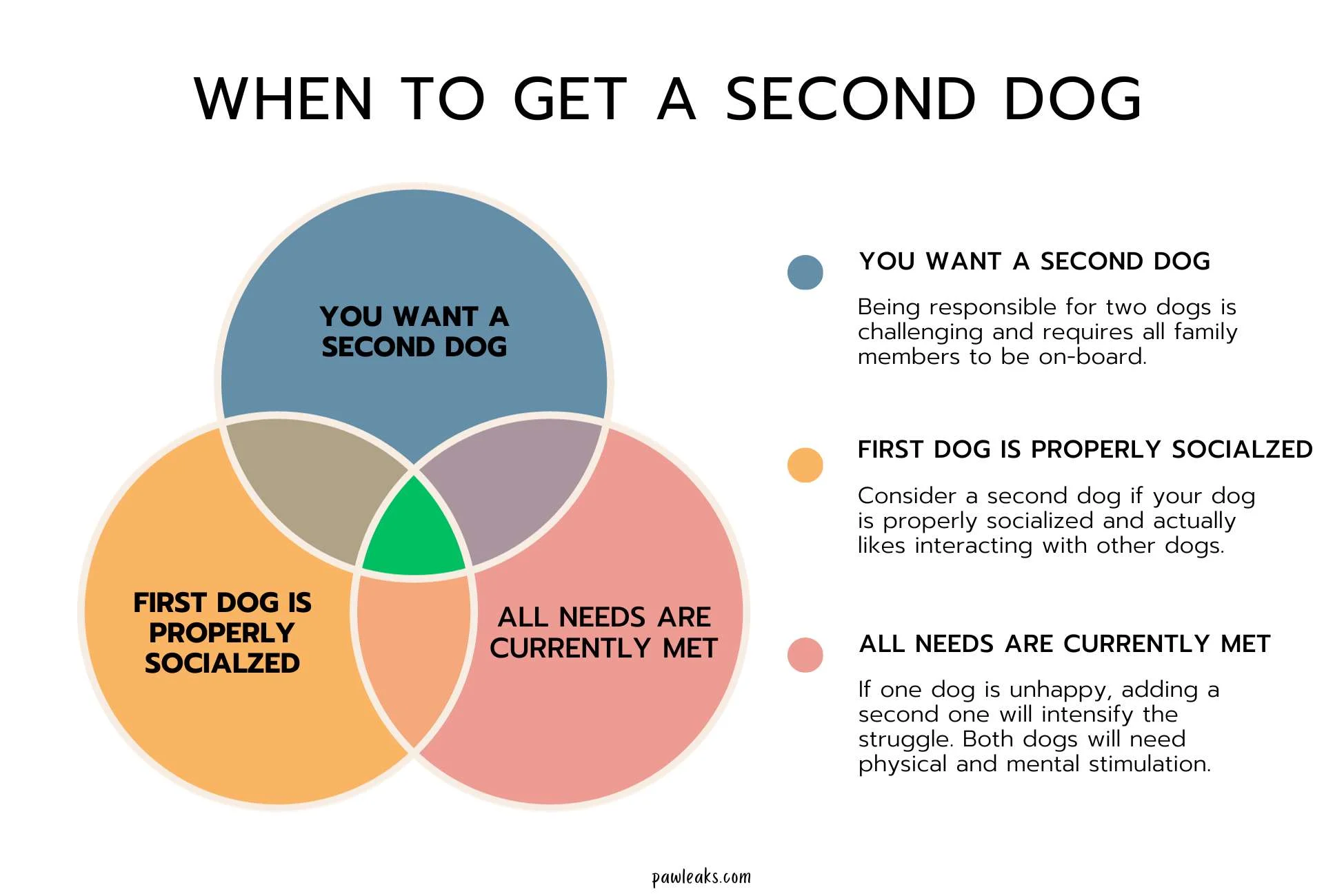 Graphic explaining when it's the right time to get a second. If not all three criteria are met, your dog better stays an only dog.