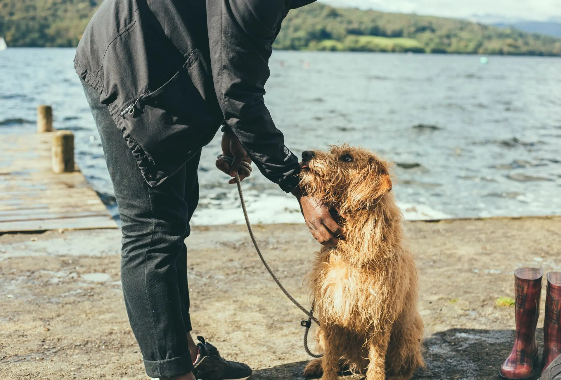 Man petting his dog near dock.