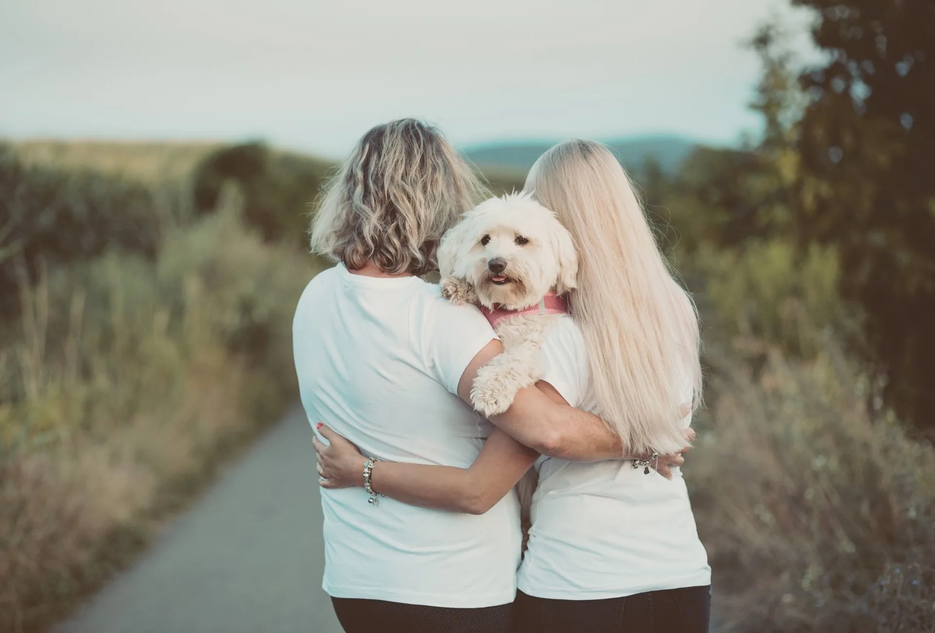 White dog cuddled between two owners.